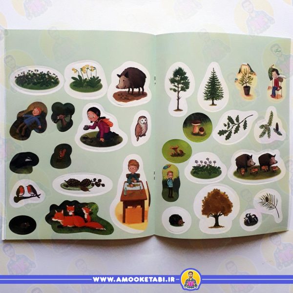 خرید در جنگل (از مجموعه چی مال چیه؟)