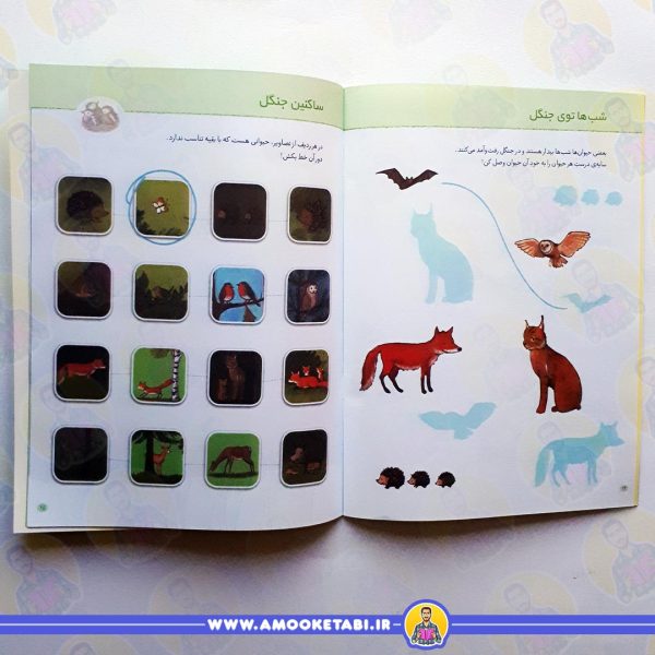 کتاب کودک در جنگل (از مجموعه چی مال چیه؟)