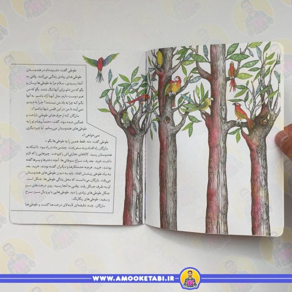 قیمت قصه های تصویری از مثنوی 1(طوطی وبازرگان)