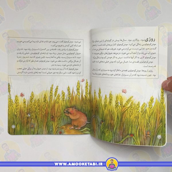 قیمت قصه های تصویری از مثنوی 8 (موش و شتر)