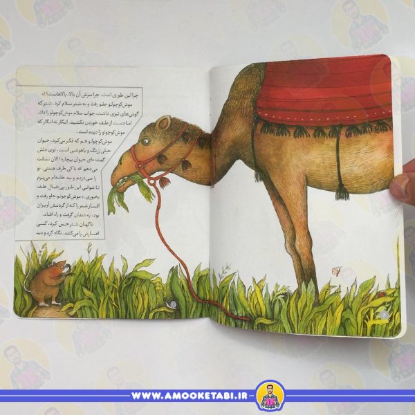 خرید قصه های تصویری از مثنوی 8 (موش و شتر)