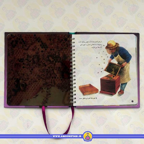 بازی با نور و رنگ (در لانه ی حشرات)