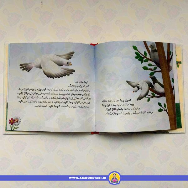 مجموعه - چرا خدا چنین کرد؟