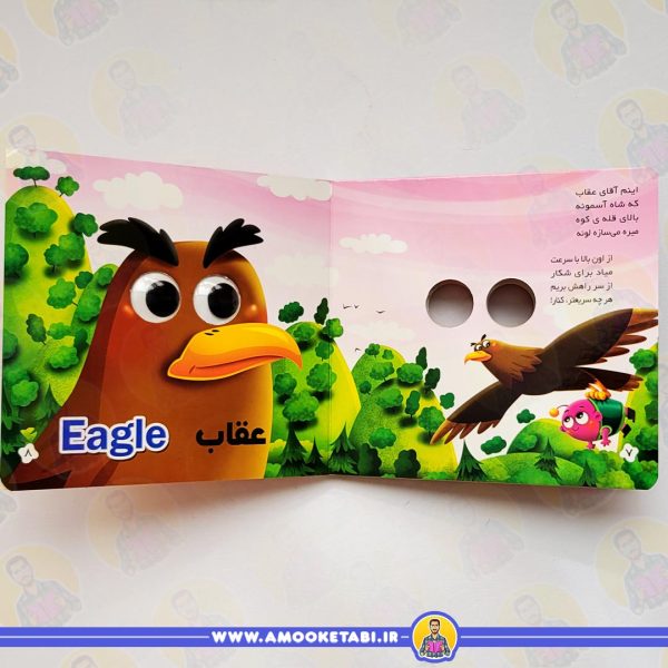 خرید و قیمت مجموعه آموزشی چشمک (آشنایی با پرندگان)