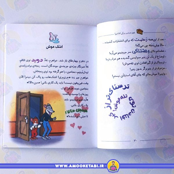 قیمت ماکاموشی17(سبیل هایت را بپا استیلتن)