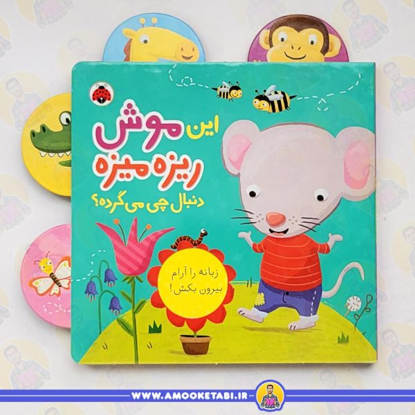 خرید کتاب این موش ریزه میزه دنبال چی می گرده؟کتاب کودک عمو کتابی
