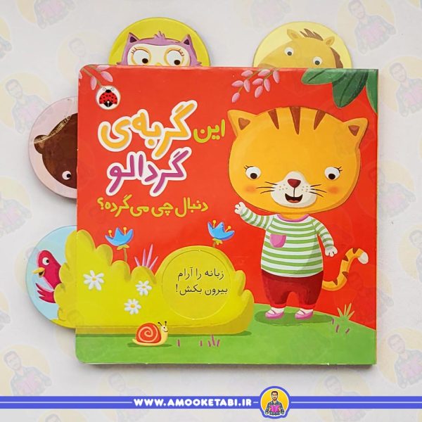 قیمت این گربه ی گردالو دنبال چی می گرده