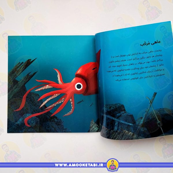 قیمت کتاب از سر تا دم
