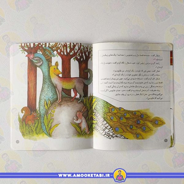متن کتاب قصه ها مثنوی شغالی که طاووس شد