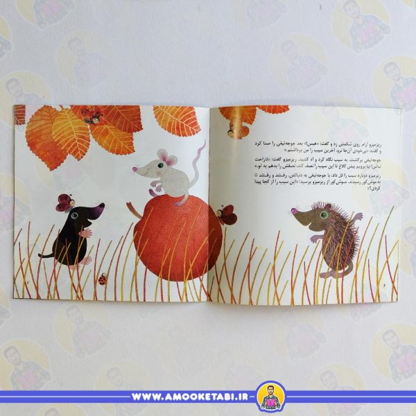 خرید کتاب ماجرای سیب قرمز از کلر ژوبرت