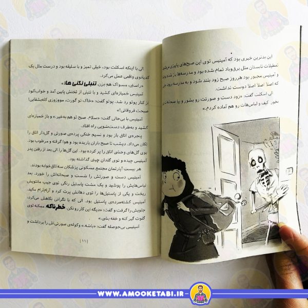 خرید کتاب آمیتیس بی کله معلم پرنده