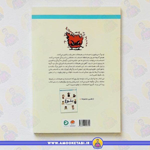 قیمت کتاب آنچه پسران باید بدانند احساسات