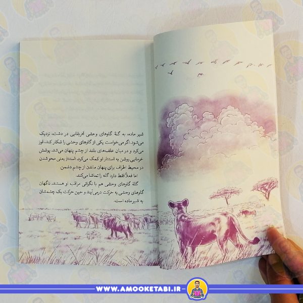 قیمت کتاب سرنگتی