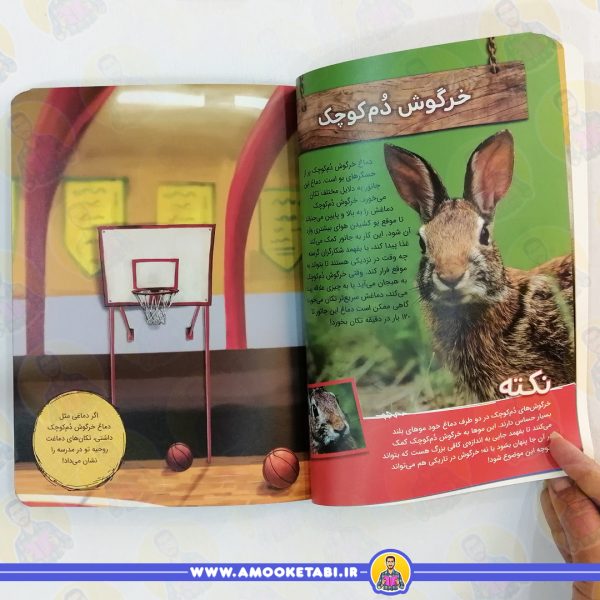 خرید چه میشد اگر دماغ جانوران را داشتیم