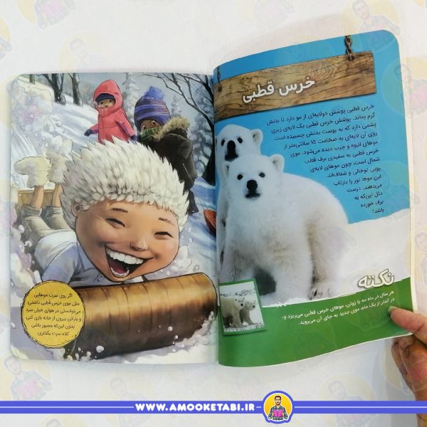 قیمت چه میشد اگر موی جانوران را داشتیم