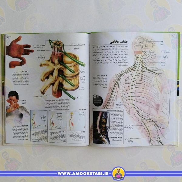 خرید دایره المعارف اینترنتی بدن انسان