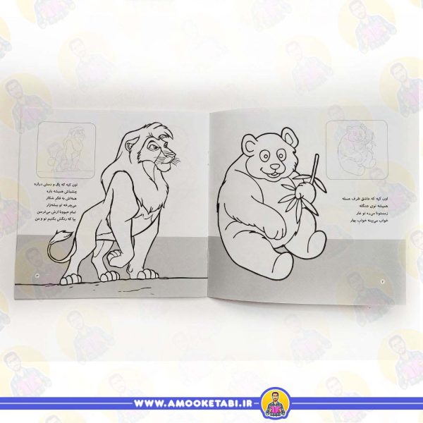 خرید کتاب آشنایی با حیوانات جنگل کتاب شعر