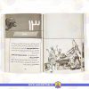 خرید آمیتیس بی کله 4 (الی اسکلت)