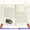 قیمت کتاب دختر سرگردویی کتاب نوجوان