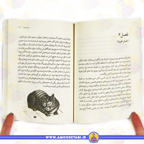 قیمت کتاب دختر سرگردویی کتاب نوجوان