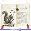 خرید کتاب دختر سرگردویی کتاب داستان
