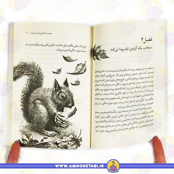 خرید کتاب دختر سرگردویی کتاب داستان