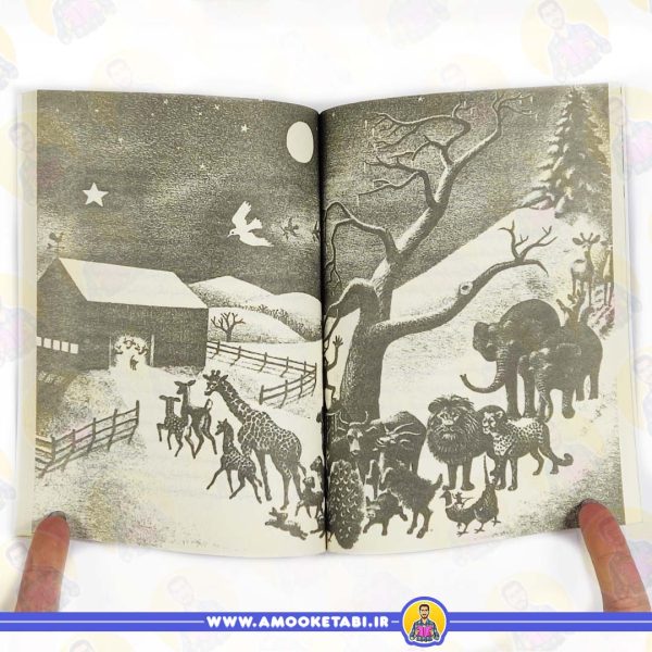 قیمت کتاب دختر سرگردویی رمان نوجوان