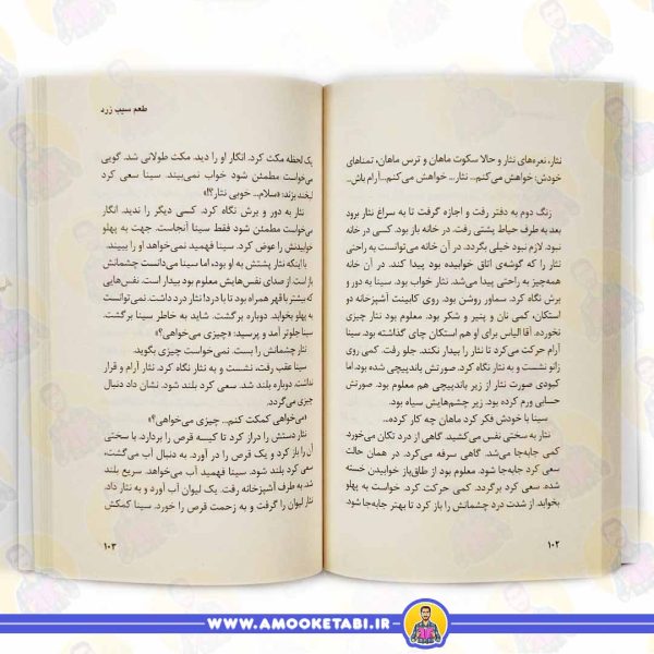 قیمت و خرید کتاب طعم سیب زرد رمان نوجوان