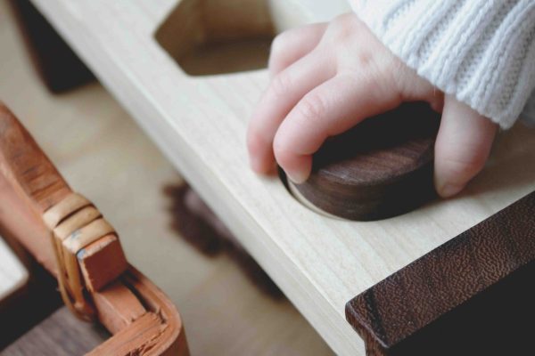 خرید بازی فکری مونته سوری
